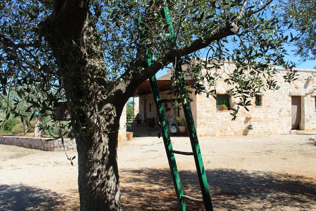 Masseria Tolla 奥斯图尼 外观 照片