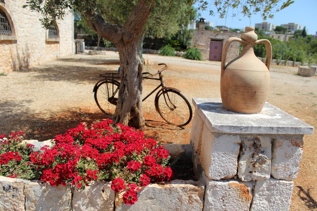 Masseria Tolla 奥斯图尼 外观 照片